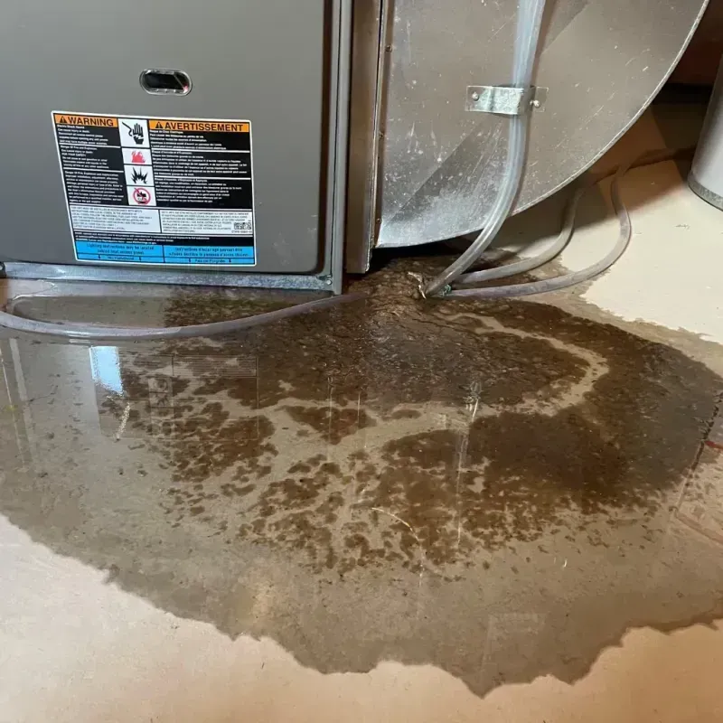 Appliance Leak Cleanup in Buffalo, TX